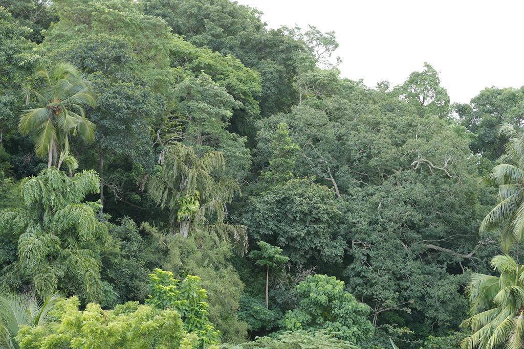 Flamingo Guest House Unawatuna Luaran gambar
